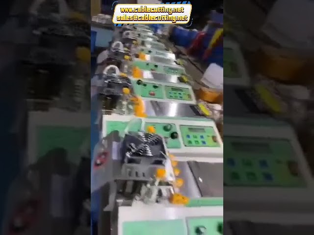 Snel en precies: Microcomputer-gestuurde tape snijmachine met heet/koud mes – 110V/220V 400W