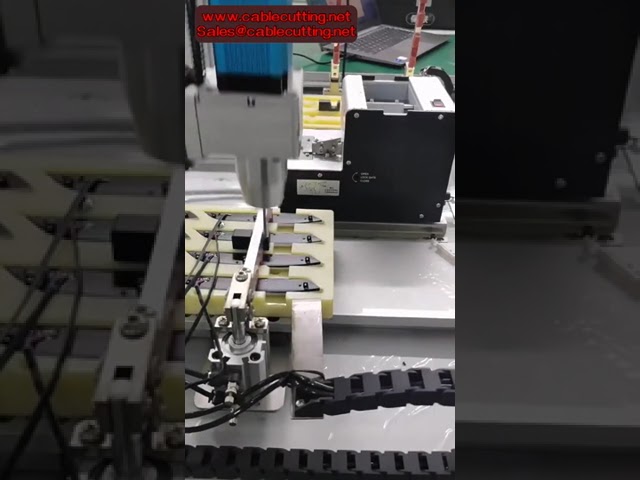 Dubbele Station Servo Schroefdraaimachine met Automatisch Toevoersysteem – Robot voor Precisie